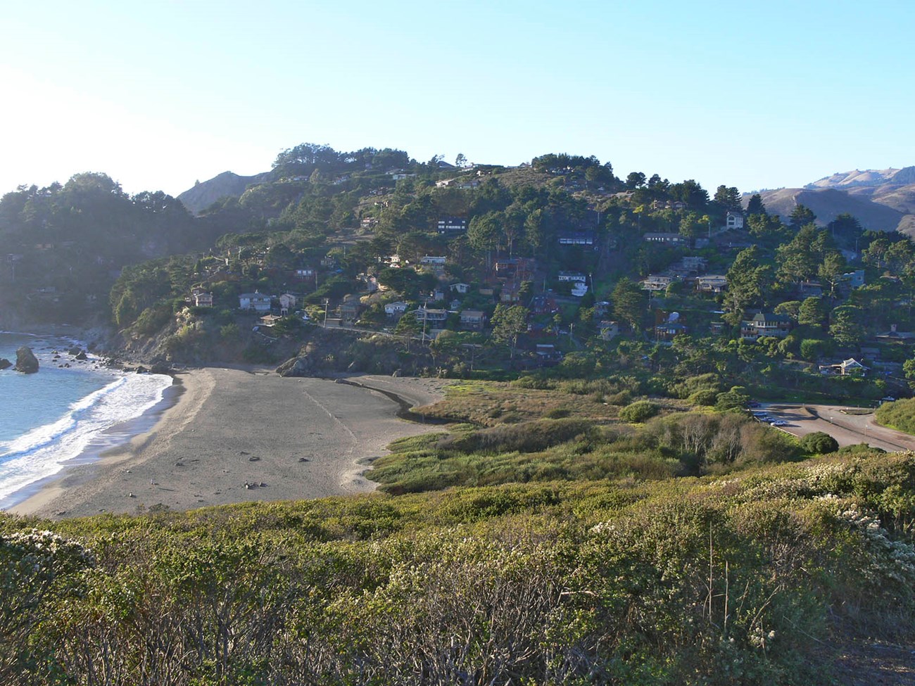 Landscape shot of Muir Beach