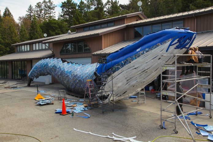 Artists Joel Dean Stockdill and Yustina Salnikova sit atop scaffolding at the construction site of Monterey Bay Aquarium's life-sized blue whale art installation made from discarded single-use plastic.