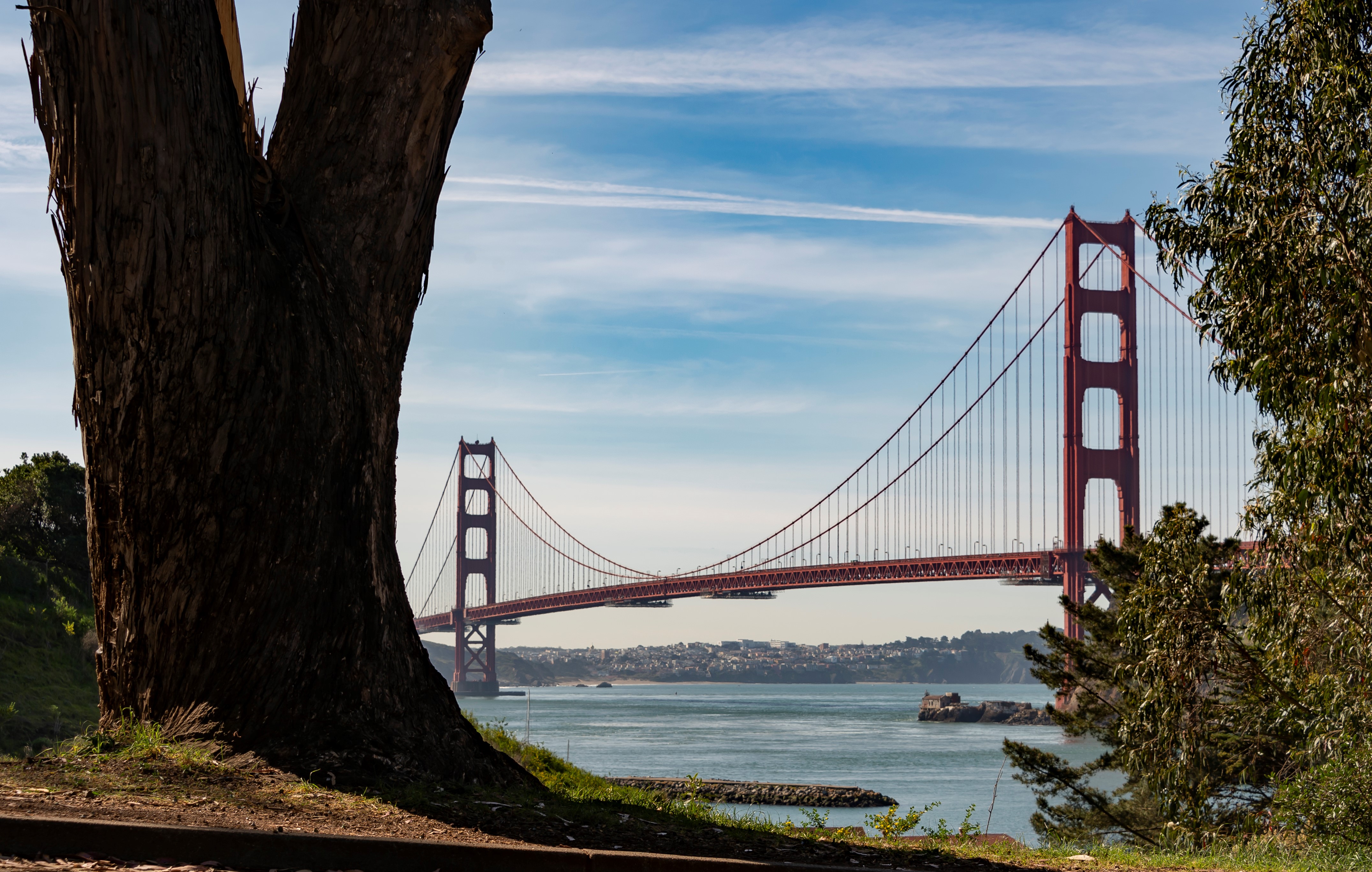 A view of the Golden Gate Bridge and Lime Point