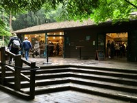 Visitors walk pass wooden building with six steps leading up to building at Muir Woods National Monument.