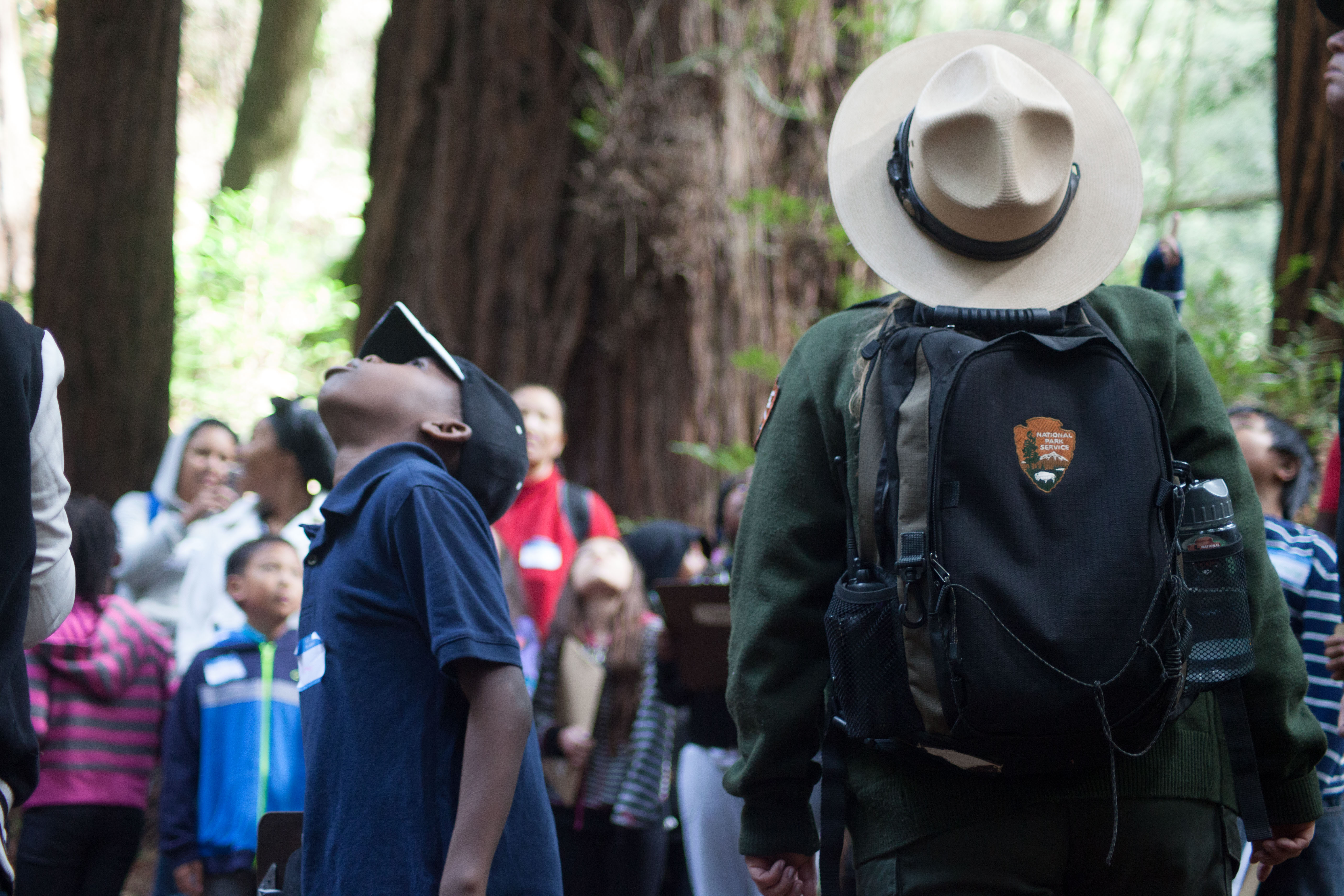 Muir Woods