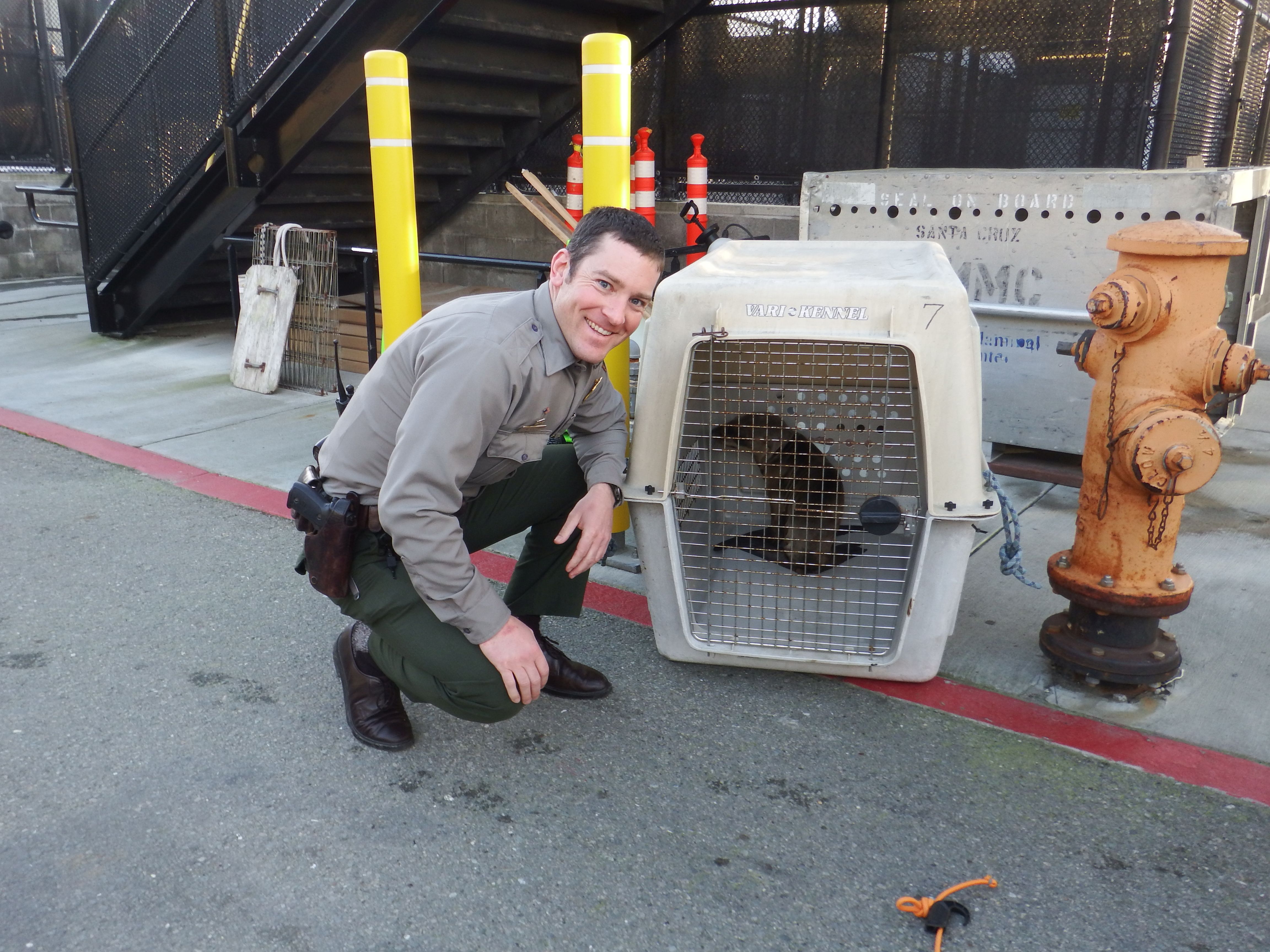 Percevero and Ranger Wallat at the Marine Mammal Center.