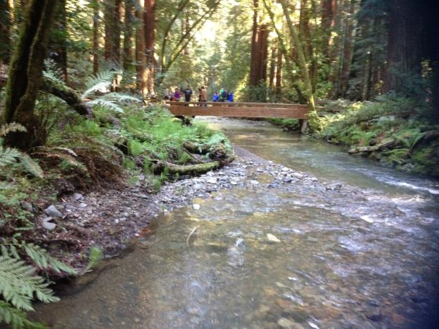 bridge over Redwood Creek