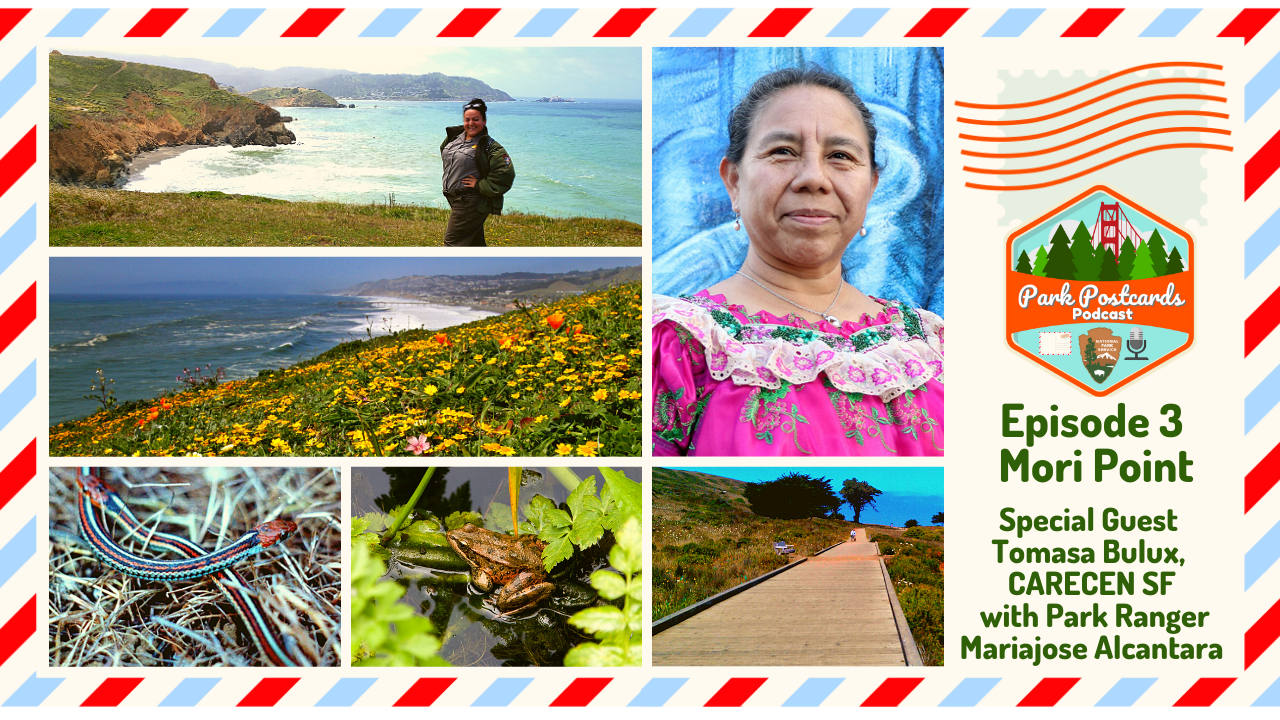 Virtual Park Postcard with grid of photos including Tomasa Bulux - a park visitor, Ranger Mariajose, a Red-legged Frog, a San Francisco Garter Snake, and scenes of Mori Point.