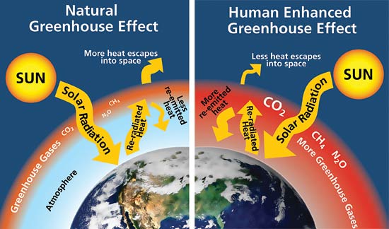 Greenhouse effect graphic