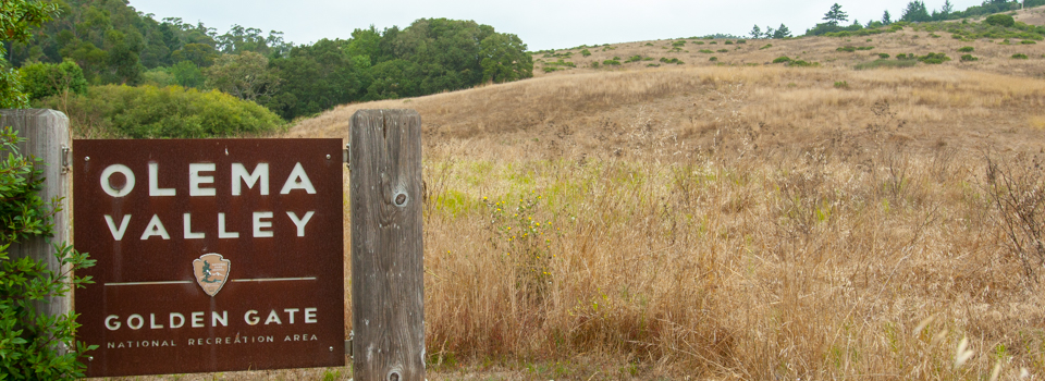 Olema Valley entrance sign and golden fields Olema Valley entrance sign and golden fields