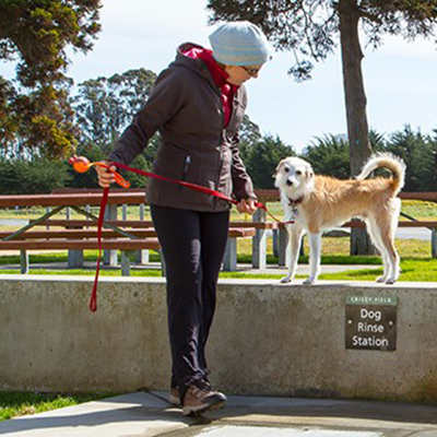woman and dog at water station woman and dog at water station