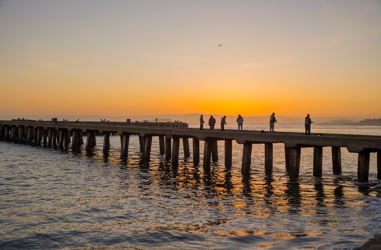 people fishing on a wodden wharf at sunset