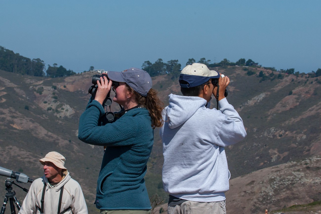 Three people with binoculars look out into the distance