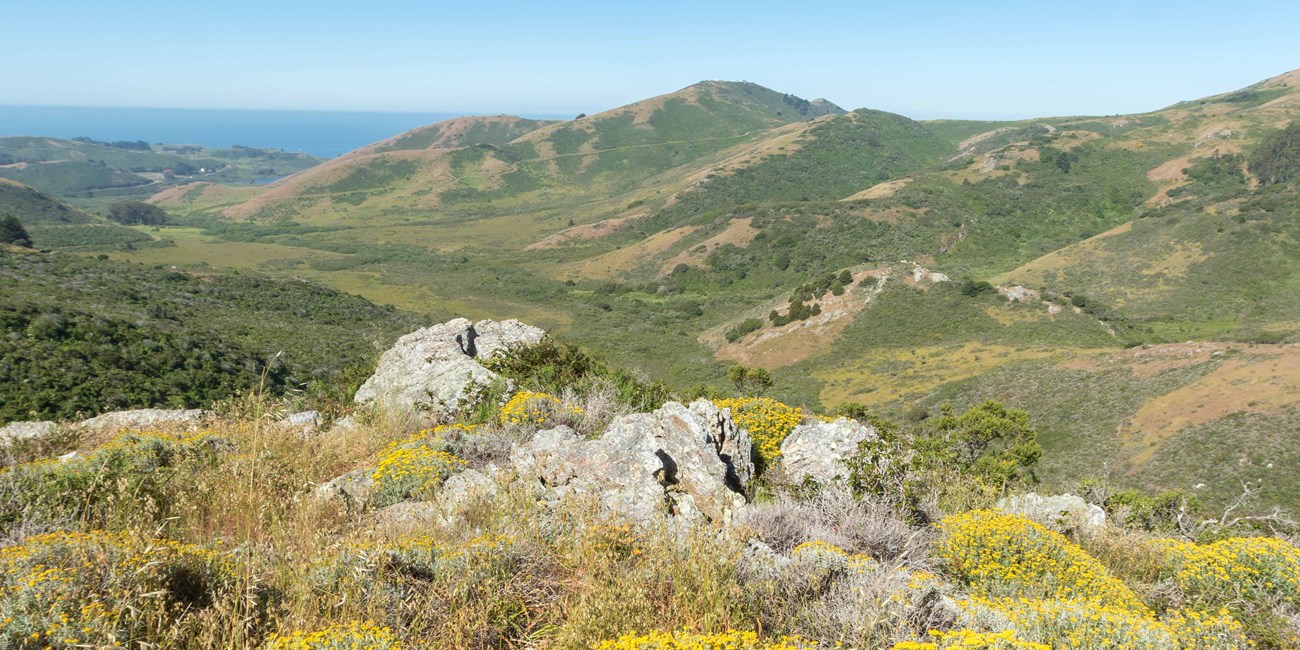 rocky, wild flower, and grass filled hills lead to the pacific coast