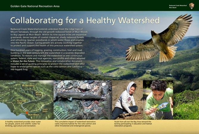 "Collaborating for a Healthy Watershed" wayside exhibit panel at Kaashi Way, Muir Beach.