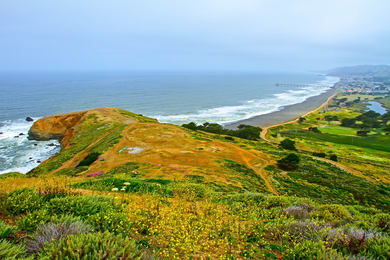sweeping view of the coastline covered with wildflowers. Ocean and peir in the background.