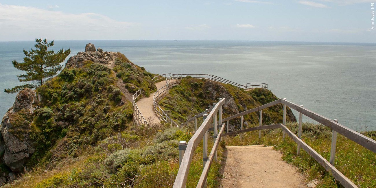 Trail leading to Muir Beach overlook with Pacific Ocean behind