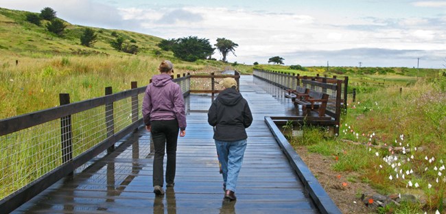 Two visitors along the boardwalk at Mori Point