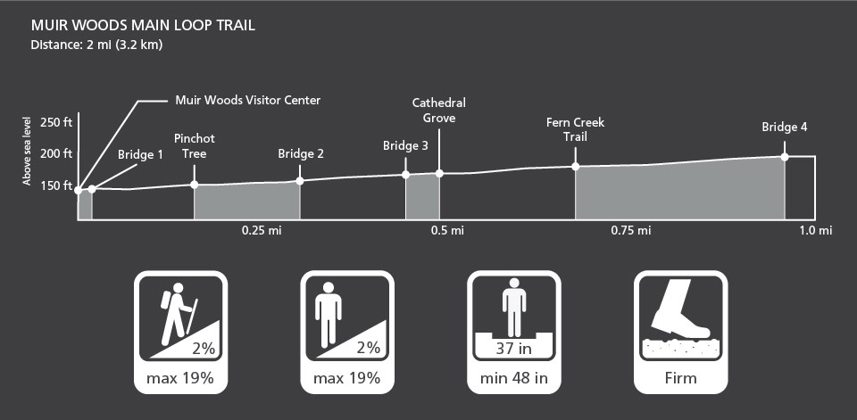 Graphic depiction of elevation change and trail characteristics of the Muir Woods Main Trail