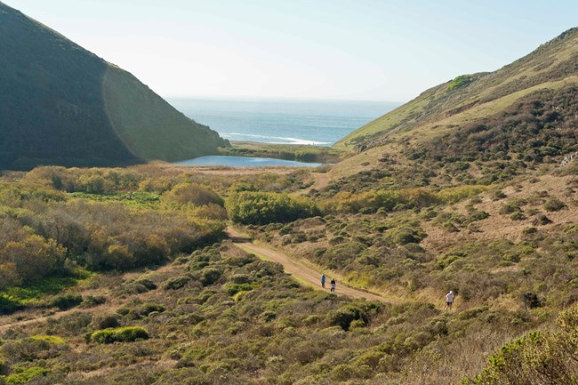 A wide trail runs through chapparal along the bottom of a valley. A beach and the ocean can be seen at the foot of the valley.