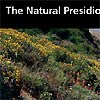 The Natural Presidio Brochure