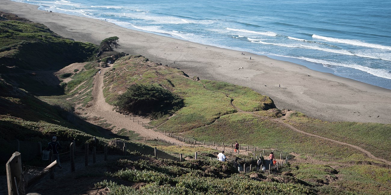 people walk to beach