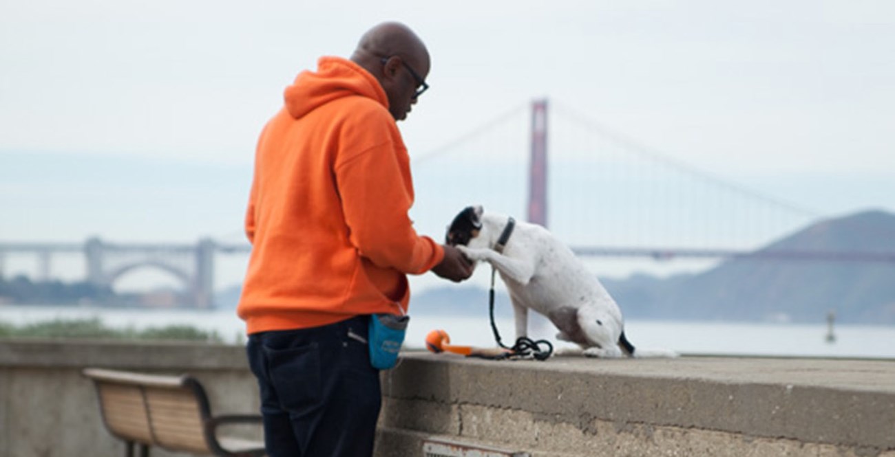 man feeds treat to smal white dog on concrete ledge in front of orange bridge