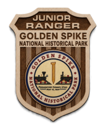 VIRTUAL JR BADGE