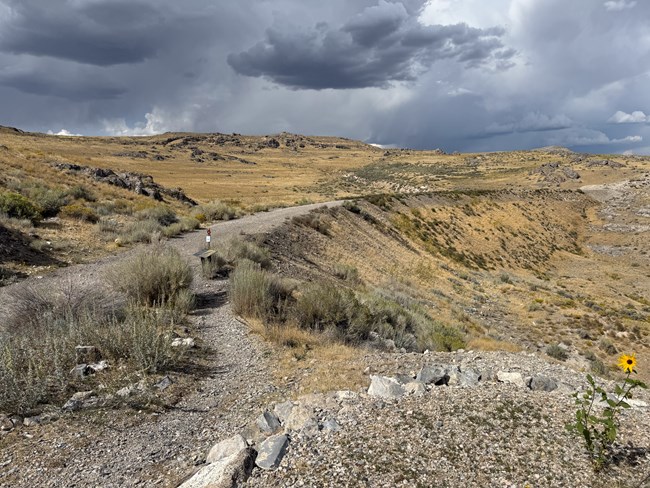 Big Fill Trail