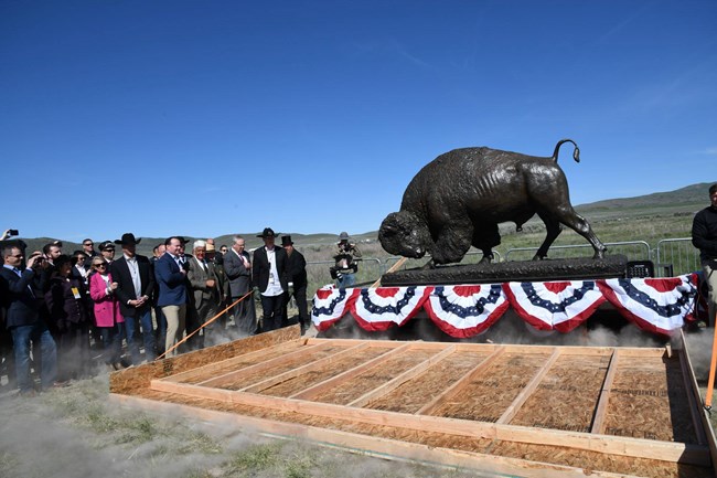 People watch as the bison is revealed during the 150th anniversary.