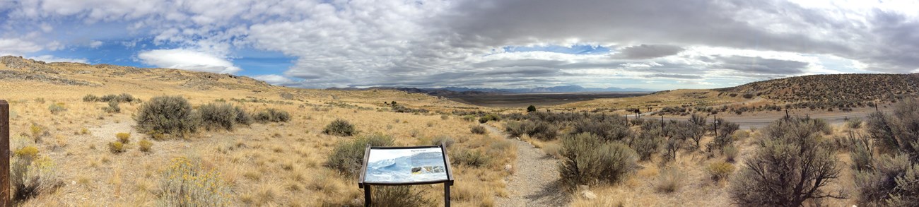 Landscape 1