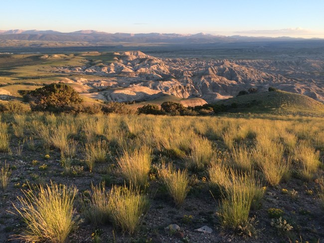 Rocky outcroppings in a desert