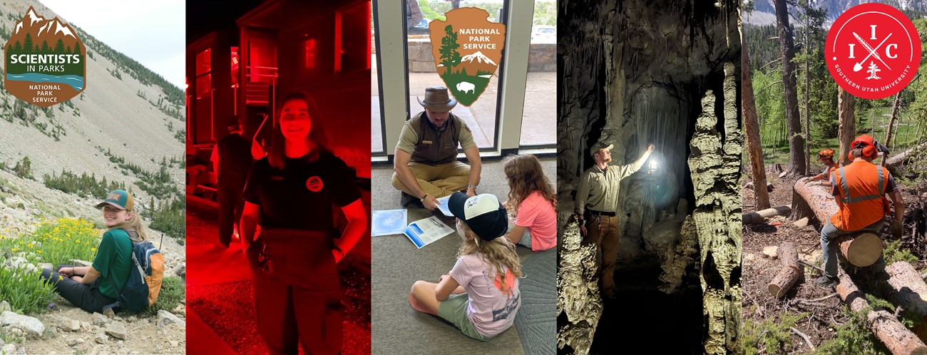 A wide combination of images in 5 vertical slices showing interns at work. From left to right, a woman sitting among flowers, a different woman standing in front of a red train, a man sitting with two jr rangers, a man holding a lantern in a cave, and two