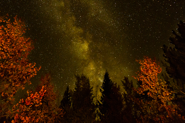 Milky Way at Upper Lehman Creek