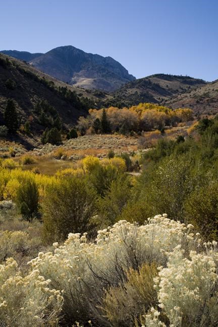 2007: Photographers Deon and Trish Reynolds - Great Basin National Park ...