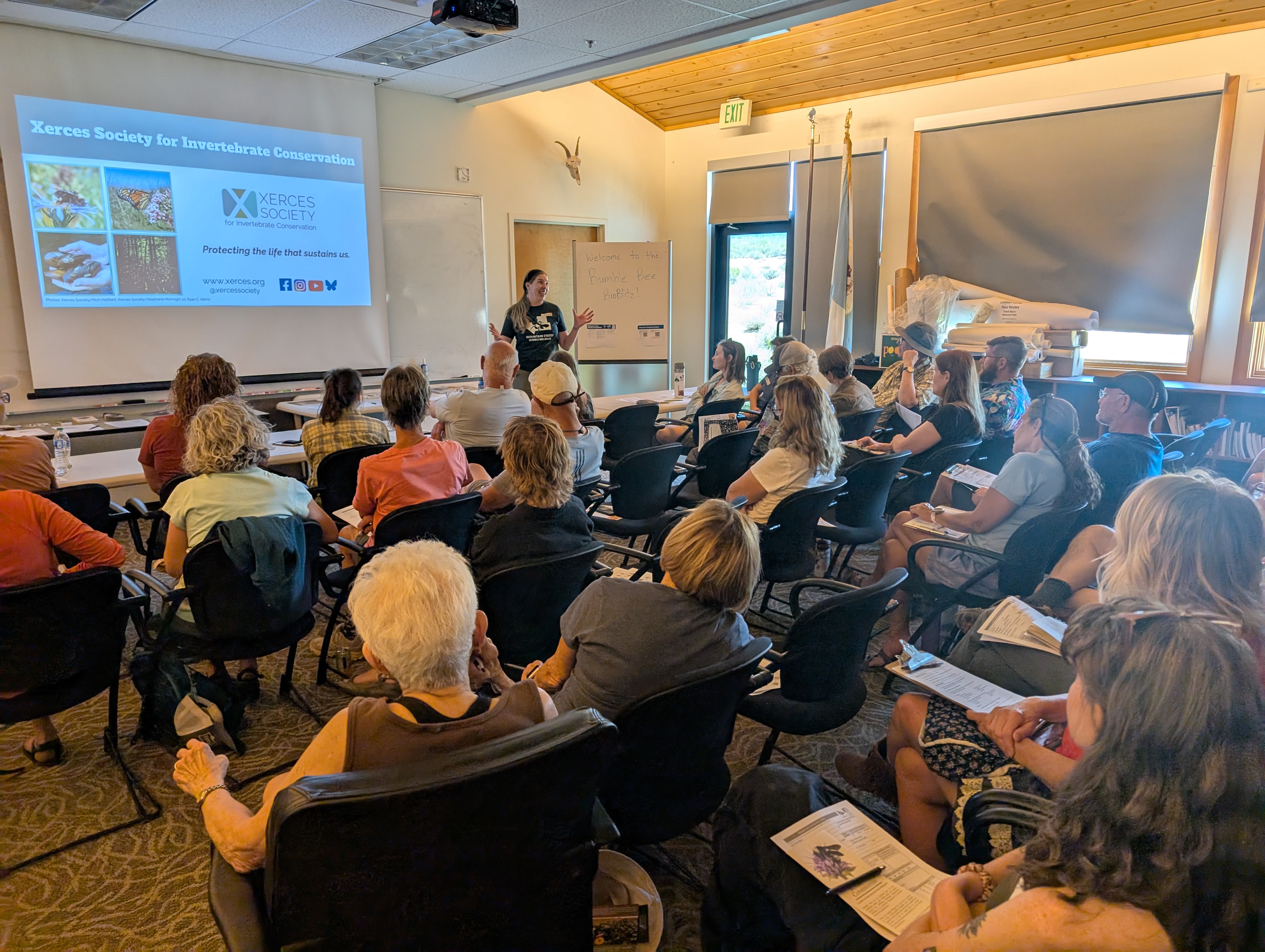 The 2025 Great Basin Bumble Bee Bioblitz (U.S. National Park Service)