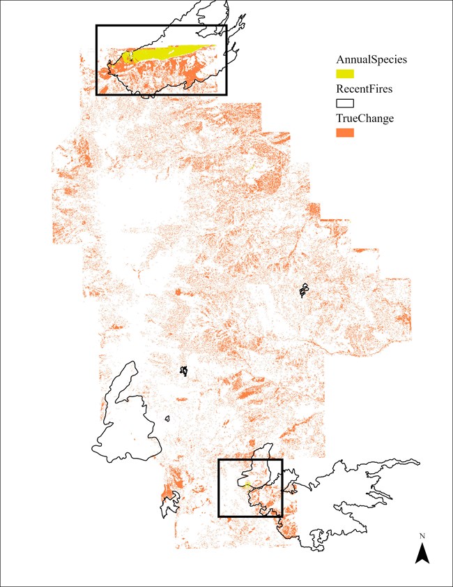 AnnualSpecies map showing cheatgrass growing in strawberry creek