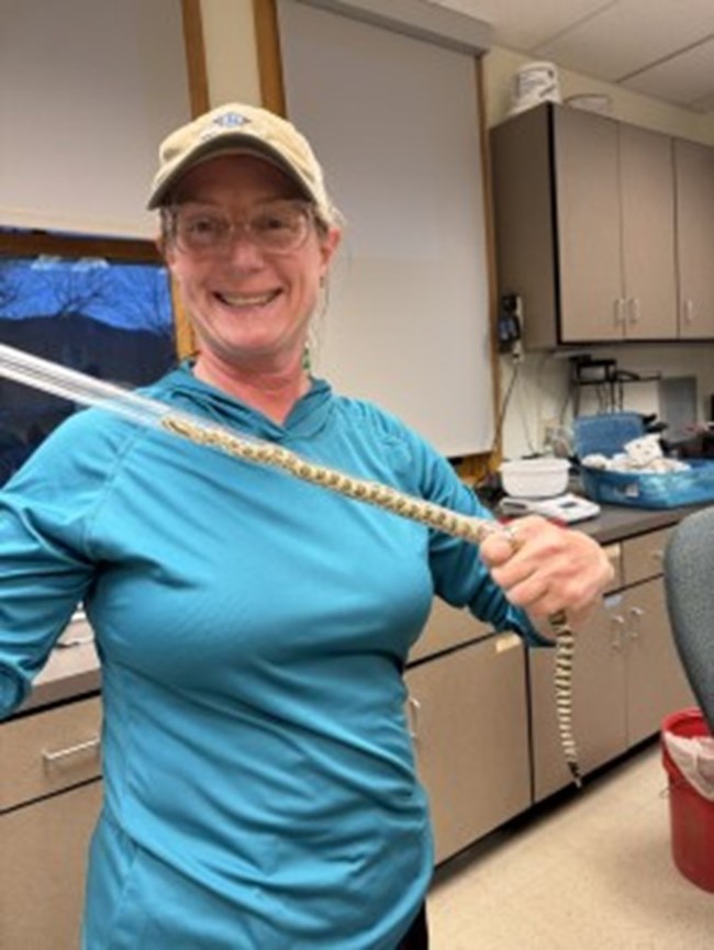 person holding a rattlesnake