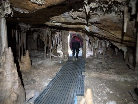 cypress swamp after cypress swamp after