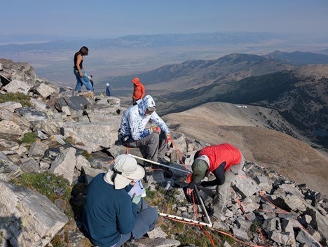 several people looking at plants on a rocky mountaintop