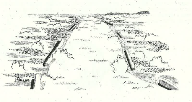 Rounded low-lying barriers articulate the walking trail through the site