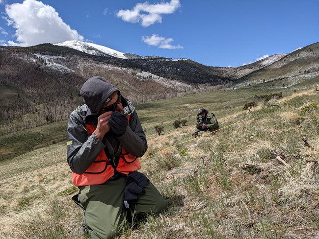 Man kneeling in open grassland area of mountains using hand lens to identify a plant.