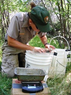 Seasonal resource management ranger