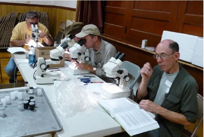Four individuals at a white table, three of them are peering into microscopes and one is reading a textbook.