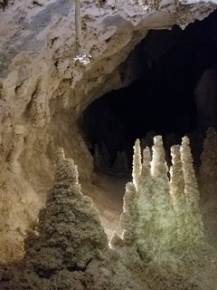 white upside-down icicle like speleothems projecting from the cave floor