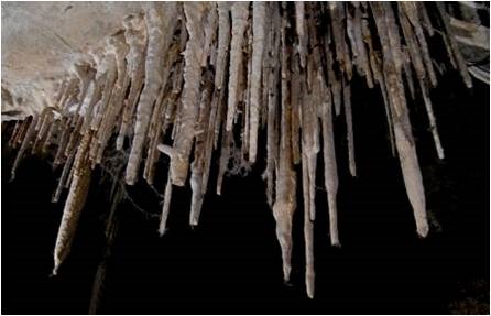 lint build up in Lehman Caves lint build up in Lehman Caves