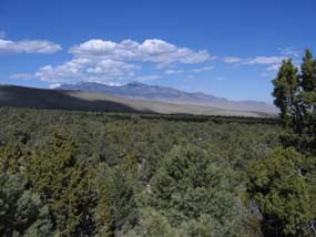 lower slopes of snake range