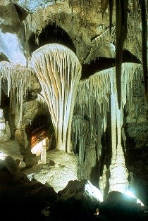 Parachute Cave Shield