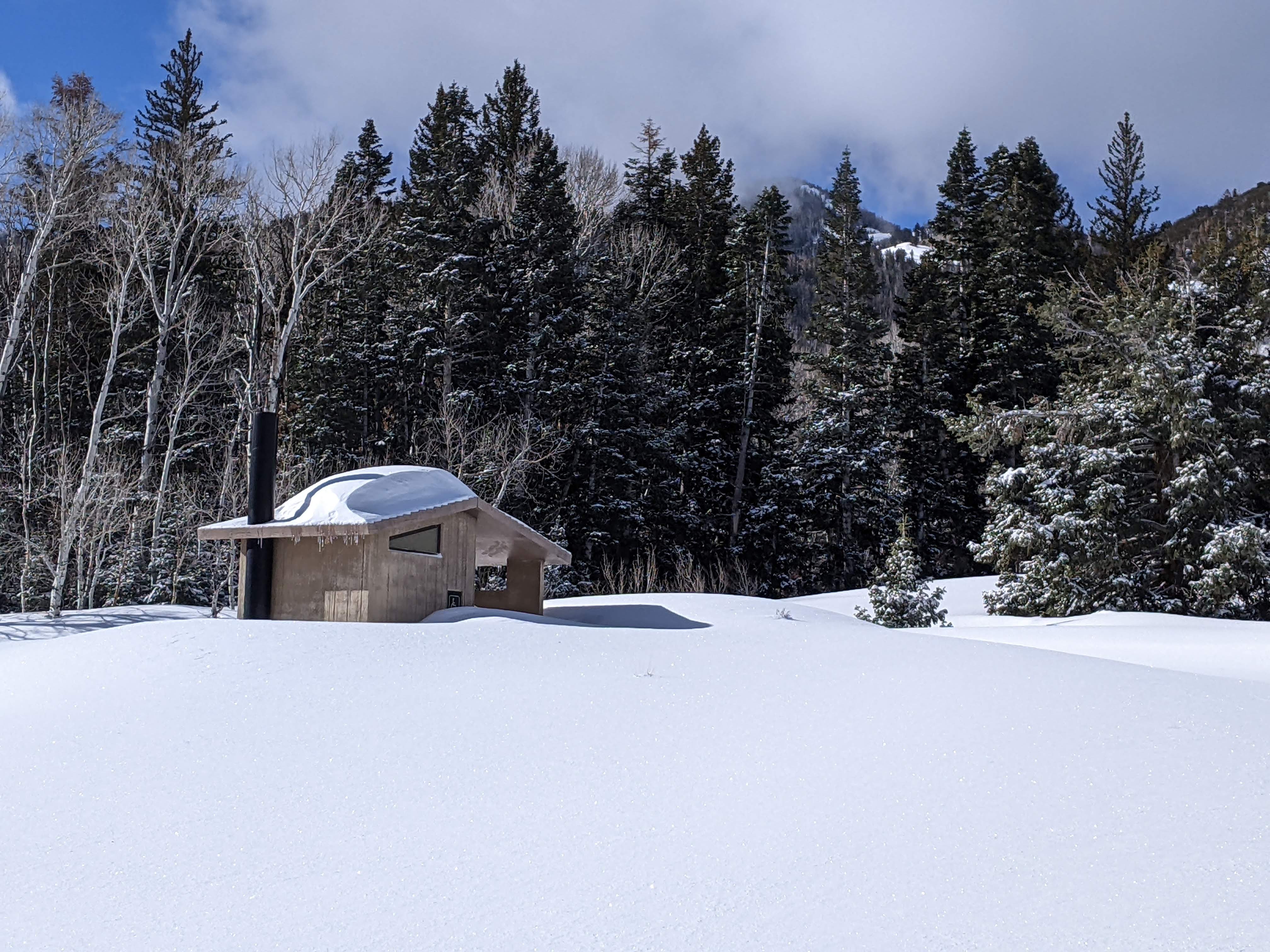 Field of snow surround and outhouse that is two-thirds buried by snow. Trees and mountain peaks line the horizon