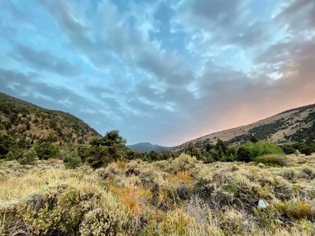 sunset over a sage brush meadow