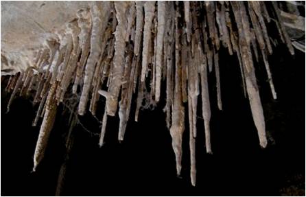 lint build up in Lehman Caves