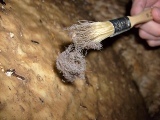 lint on brush