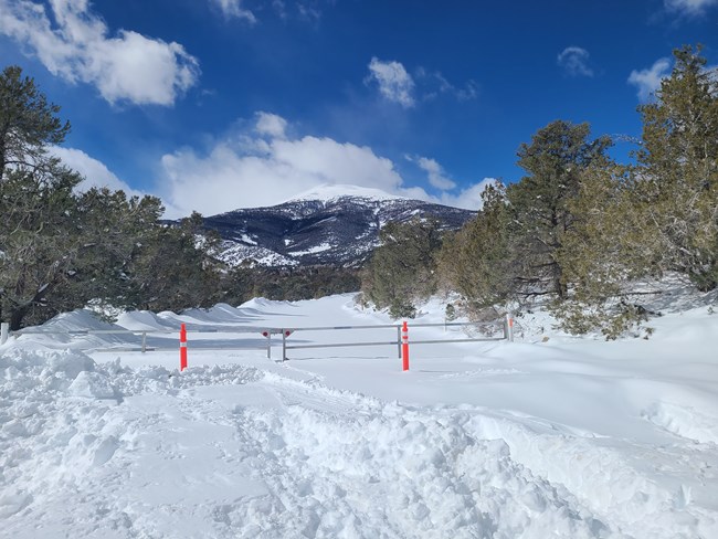 A metal, grey gate blocks a clean, white, snow-covered road with orange traffic cones. A tall snow-covered mountain looms behind