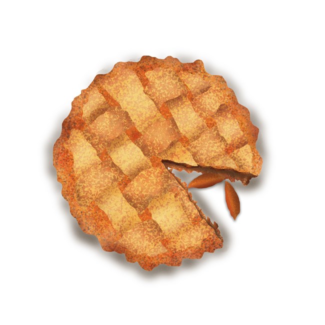 A tan, circular pie with criss-crossed crust has a slice missing, with two apricot slivers pouring out